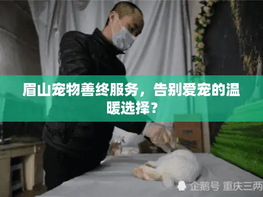 眉山宠物善终服务,告别爱宠的温暖选择? 眉山宠物善终服务,告别爱宠的温暖选择?
