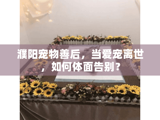 濮阳宠物善后,当爱宠离世,如何体面告别? 濮阳宠物善后,当爱宠离世,如何体面告别?