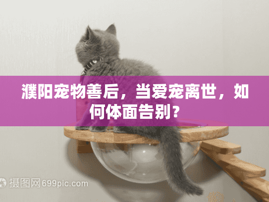 濮阳宠物善后,当爱宠离世,如何体面告别? 濮阳宠物善后,当爱宠离世,如何体面告别?