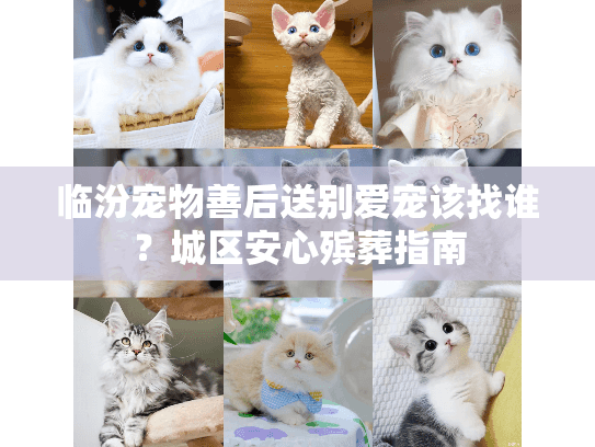 临汾宠物善后送别爱宠该找谁？城区安心殡葬指南