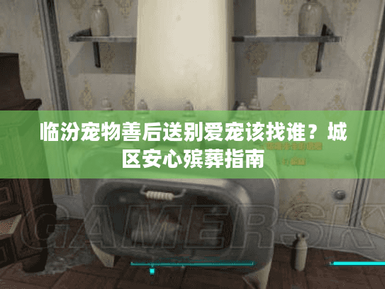 临汾宠物善后送别爱宠该找谁？城区安心殡葬指南
