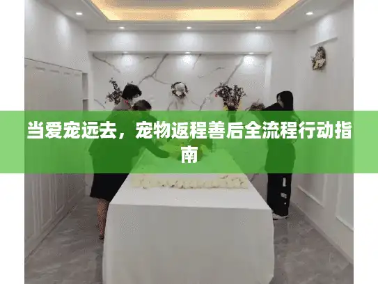 当爱宠远去,宠物返程善后全流程行动指南 当爱宠远去,宠物返程善后全流程行动指南