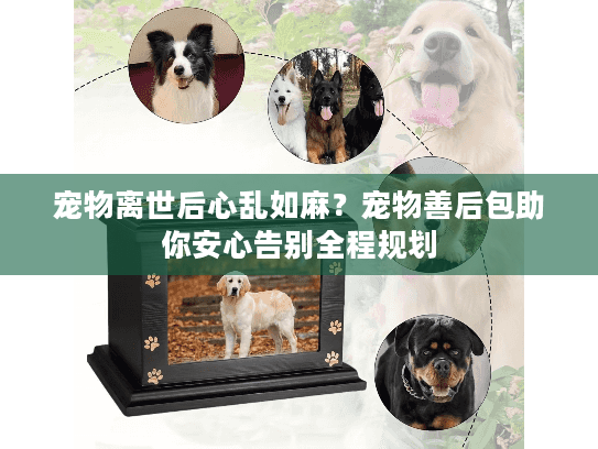 宠物离世后心乱如麻？宠物善后包助你安心告别全程规划