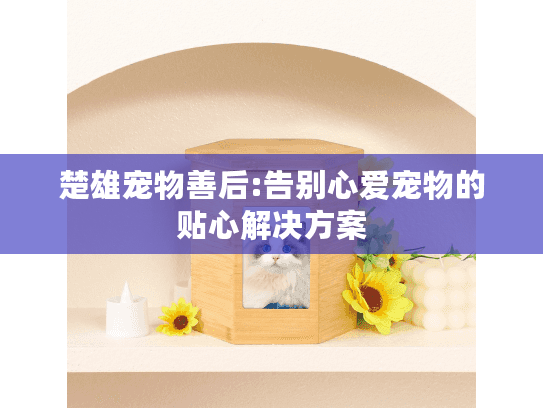 楚雄宠物善后:告别心爱宠物的贴心解决方案