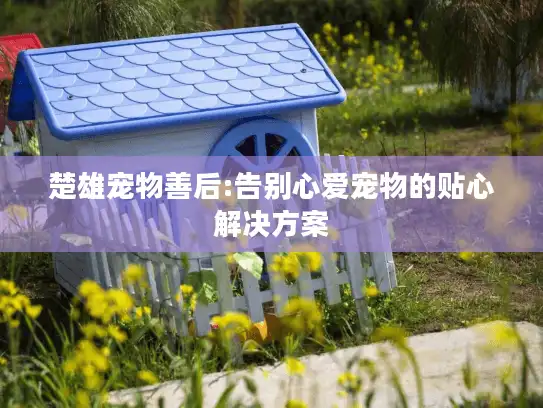 楚雄宠物善后:告别心爱宠物的贴心解决方案