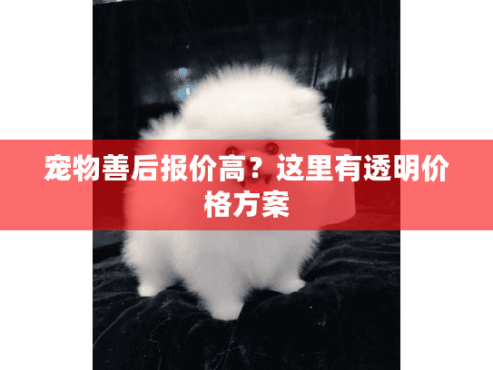 宠物善后报价高？这里有透明价格方案