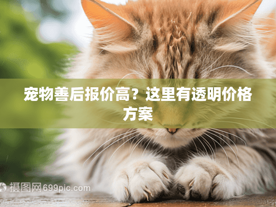 宠物善后报价高？这里有透明价格方案