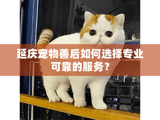 延庆宠物善后如何选择专业可靠的服务? 延庆宠物善后如何选择专业可靠的服务?