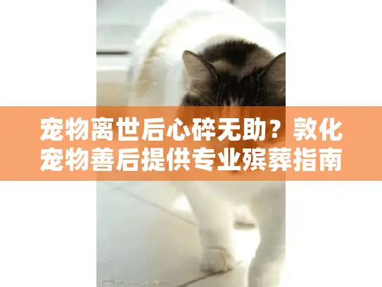 宠物离世后心碎无助？敦化宠物善后提供专业殡葬指南