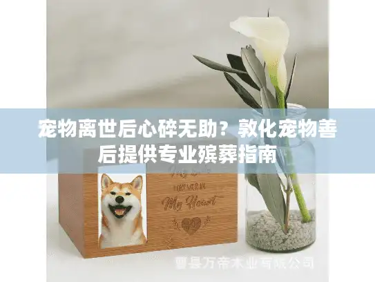 宠物离世后心碎无助？敦化宠物善后提供专业殡葬指南