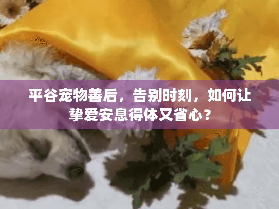 平谷宠物善后,告别时刻,如何让挚爱安息得体又省心? 平谷宠物善后,告别时刻,如何让挚爱安息得体又省心?