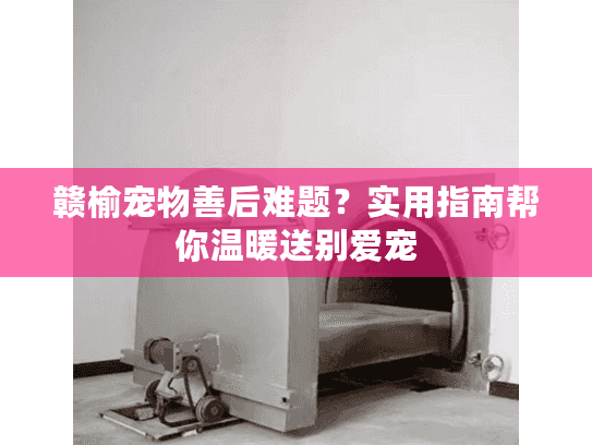 赣榆宠物善后难题?实用指南帮你温暖送别爱宠 赣榆宠物善后难题?实用指南帮你温暖送别爱宠