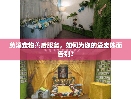 慈溪宠物善后服务，如何为你的爱宠体面告别？