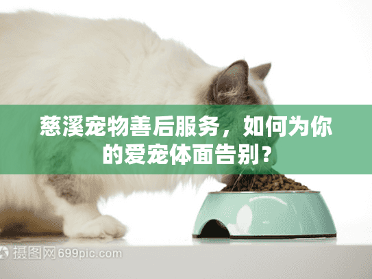 慈溪宠物善后服务，如何为你的爱宠体面告别？