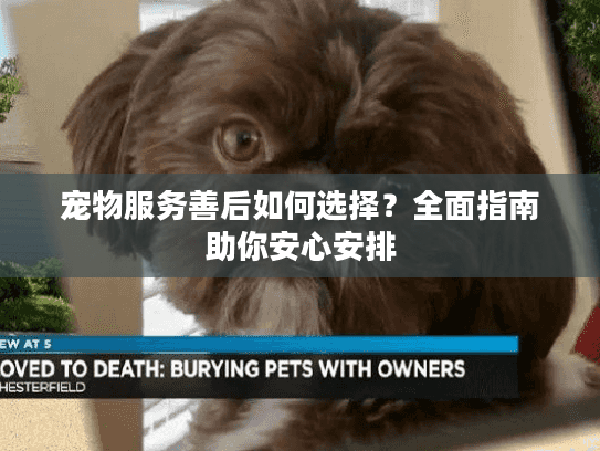 宠物服务善后如何选择?全面指南助你安心安排 宠物服务善后如何选择?全面指南助你安心安排
