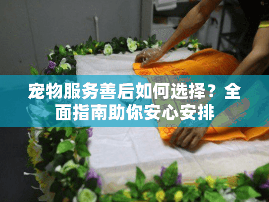 宠物服务善后如何选择?全面指南助你安心安排 宠物服务善后如何选择?全面指南助你安心安排
