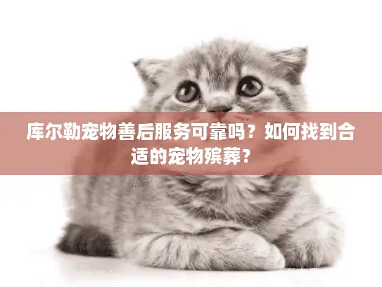 库尔勒宠物善后服务可靠吗？如何找到合适的宠物殡葬？