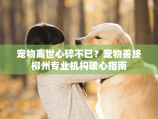 宠物离世心碎不已？宠物善终柳州专业机构暖心指南