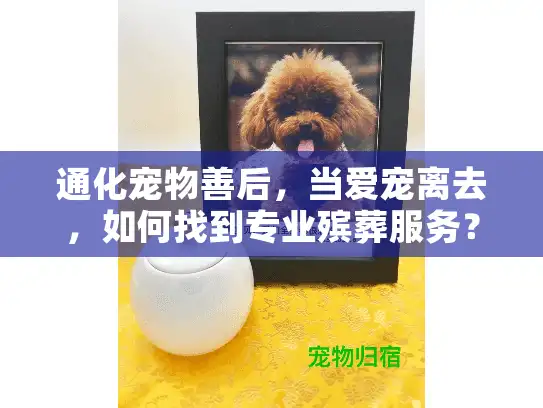 通化宠物善后，当爱宠离去，如何找到专业殡葬服务？