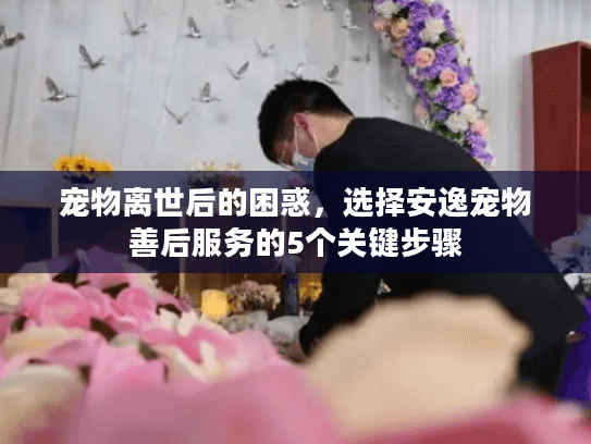 宠物离世后的困惑，选择安逸宠物善后服务的5个关键步骤