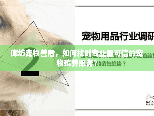 廊坊宠物善后，如何找到专业且可信的宠物殡葬服务？