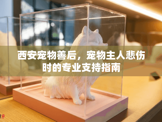 西安宠物善后，宠物主人悲伤时的专业支持指南