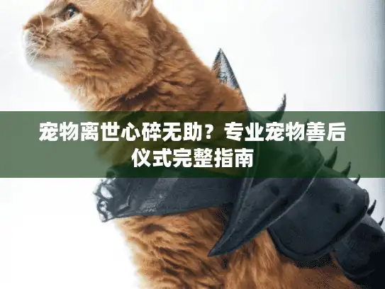 宠物离世心碎无助？专业宠物善后仪式完整指南