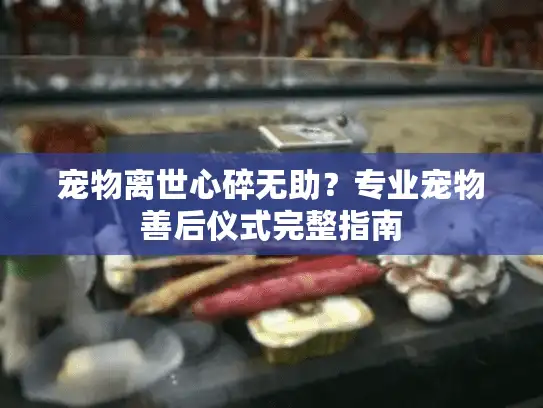 宠物离世心碎无助？专业宠物善后仪式完整指南