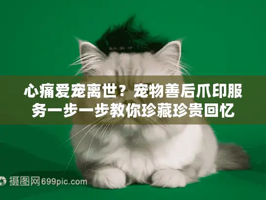 心痛爱宠离世？宠物善后爪印服务一步一步教你珍藏珍贵回忆