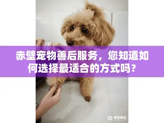 赤壁宠物善后服务，您知道如何选择最适合的方式吗？
