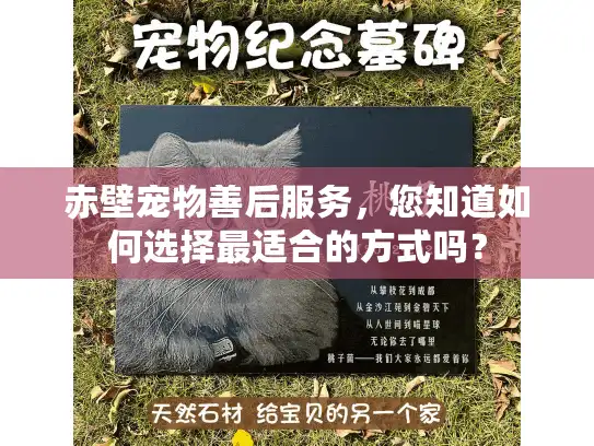 赤壁宠物善后服务，您知道如何选择最适合的方式吗？