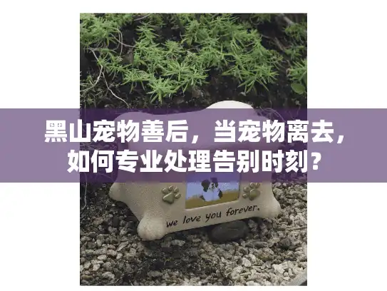 黑山宠物善后，当宠物离去，如何专业处理告别时刻？
