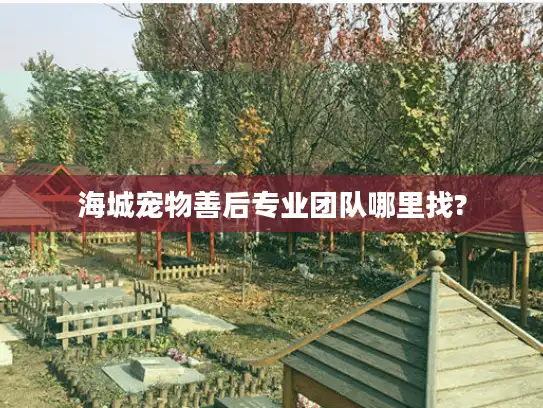 海城宠物善后专业团队哪里找?