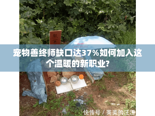 宠物善终师缺口达37%如何加入这个温暖的新职业? 宠物善终师缺口达37%如何加入这个温暖的新职业?