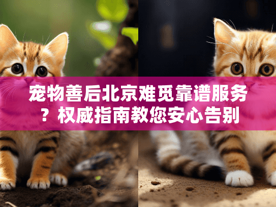 宠物善后北京难觅靠谱服务？权威指南教您安心告别