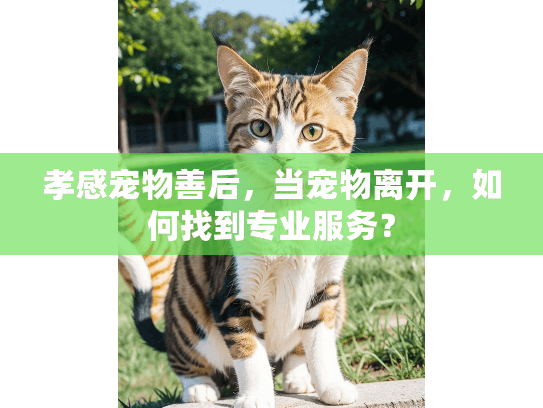 孝感宠物善后，当宠物离开，如何找到专业服务？