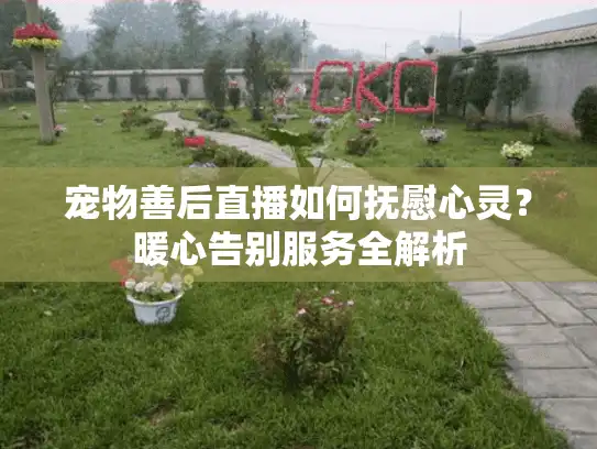 宠物善后直播如何抚慰心灵？暖心告别服务全解析