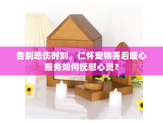 告别悲伤时刻，仁怀宠物善后暖心服务如何抚慰心灵？