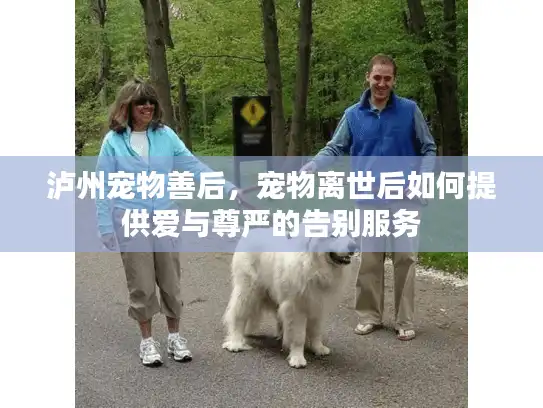 泸州宠物善后,宠物离世后如何提供爱与尊严的告别服务 泸州宠物善后,宠物离世后如何提供爱与尊严的告别服务