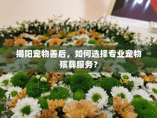 揭阳宠物善后,如何选择专业宠物殡葬服务? 揭阳宠物善后,如何选择专业宠物殡葬服务?