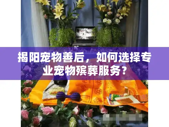 揭阳宠物善后,如何选择专业宠物殡葬服务? 揭阳宠物善后,如何选择专业宠物殡葬服务?