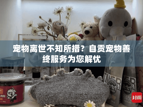 宠物离世不知所措？自贡宠物善终服务为您解忧