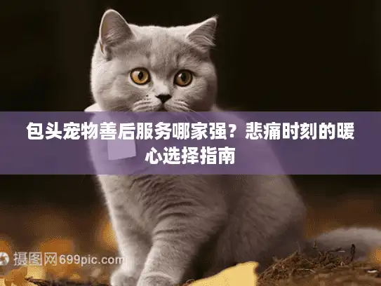 包头宠物善后服务哪家强?悲痛时刻的暖心选择指南 包头宠物善后服务哪家强?悲痛时刻的暖心选择指南