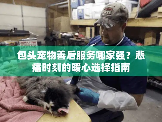 包头宠物善后服务哪家强?悲痛时刻的暖心选择指南 包头宠物善后服务哪家强?悲痛时刻的暖心选择指南