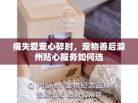 痛失爱宠心碎时，宠物善后滁州贴心服务如何选