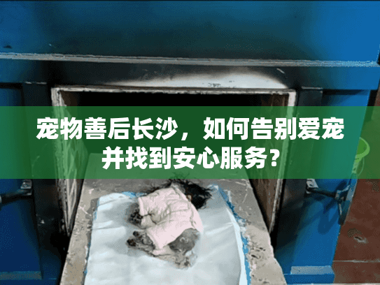 宠物善后长沙，如何告别爱宠并找到安心服务？