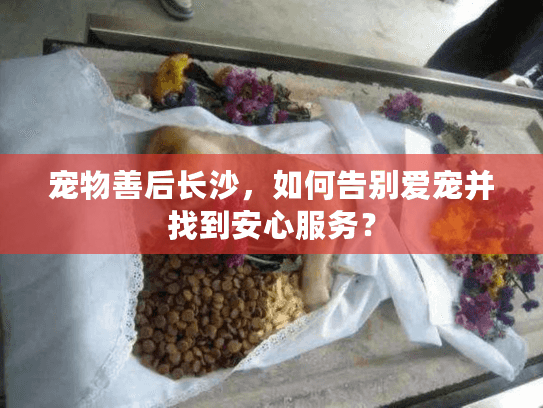 宠物善后长沙，如何告别爱宠并找到安心服务？