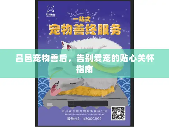 昌邑宠物善后，告别爱宠的贴心关怀指南