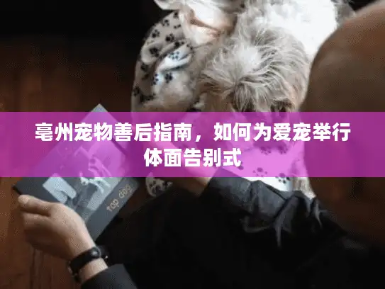 亳州宠物善后指南，如何为爱宠举行体面告别式