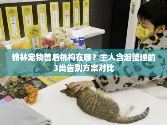 榆林宠物善后机构在哪?主人含泪整理的3类告别方案对比 榆林宠物善后机构在哪?主人含泪整理的3类告别方案对比